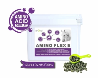 Dromy Amino Flex E 6 kg