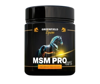 MSM PRO 100% v prášku 1 kg - 1 ks